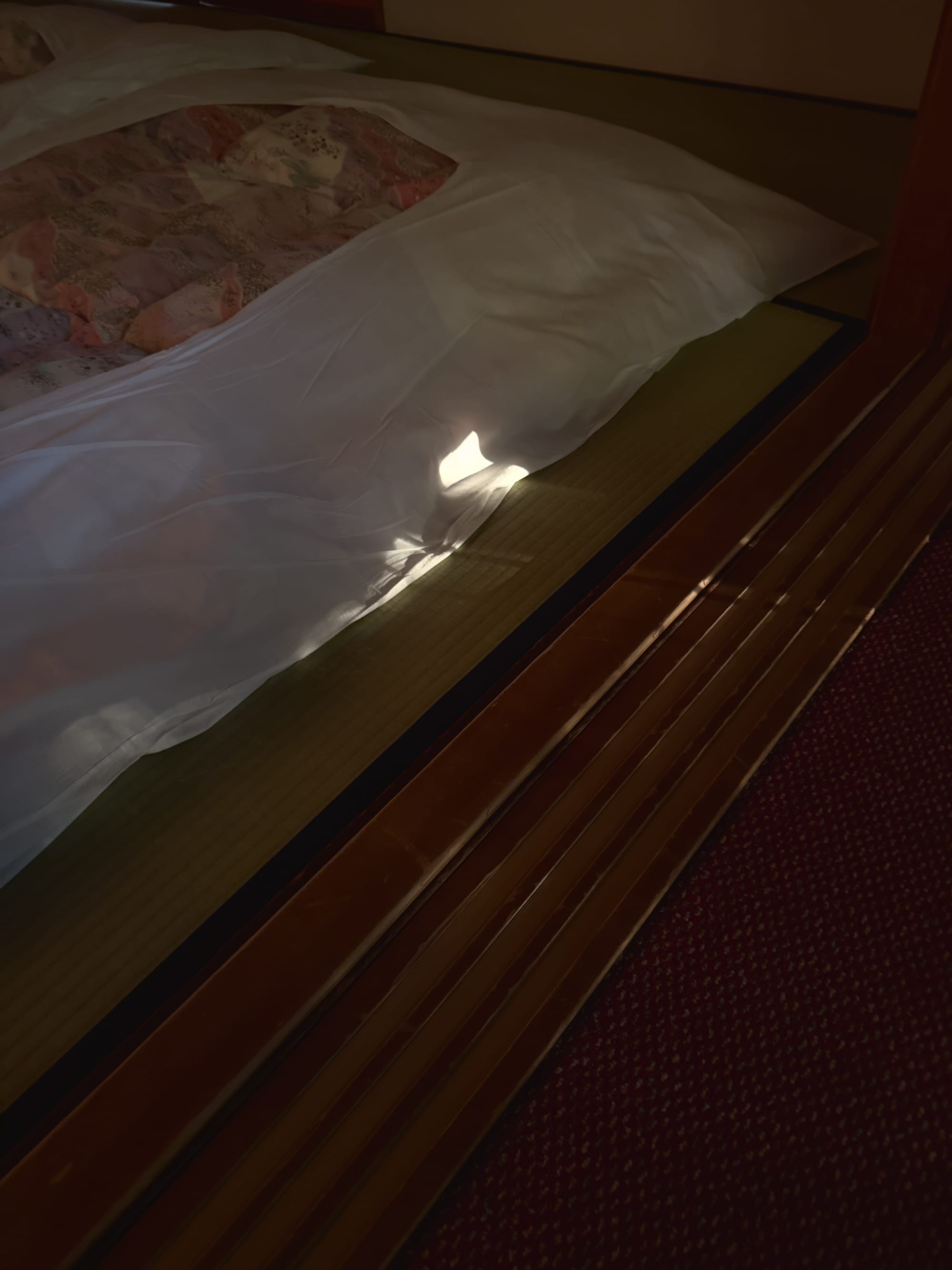 Futon for the night
